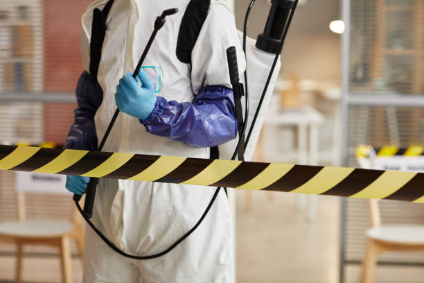 Professional Sewage Cleanup technician working in Blue Point, NY